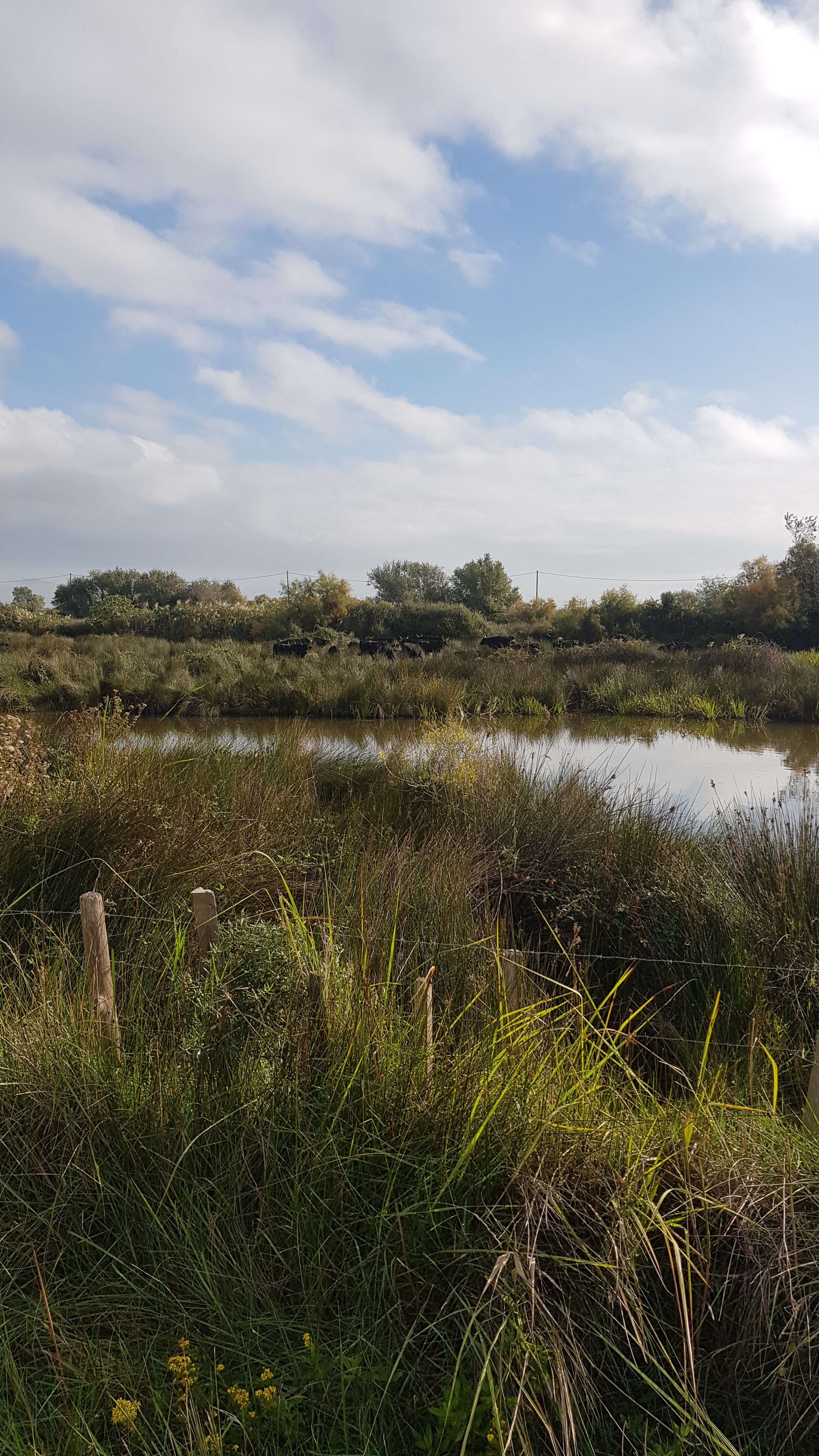 Photo n° 3 de l'avis de Ugo.e fait le 10/10/2022 à 14:11