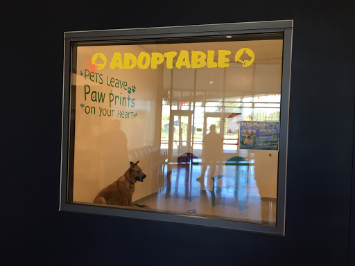 Placer County Animal Services Center image