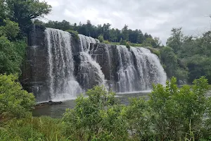 Forest Falls image
