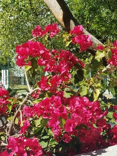 Ice Skating Rink «Yerba Buena Ice Skating & Bowling Center», reviews and photos, 750 Folsom St, San Francisco, CA 94107, USA