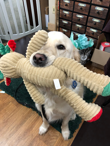 Pet Supply Store «The Natural Pet Enrichment Center», reviews and photos, 6720 Royalton Rd, North Royalton, OH 44133, USA