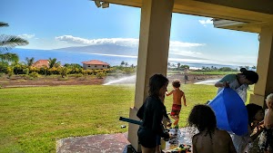 Maui Dragon Fruit Farm - photo 41