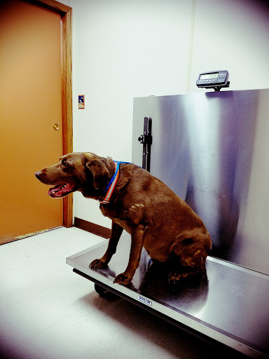 1525 Central Ave NW, East Grand Forks, MN 56721, USA