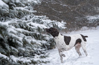 Bender Aerial Photography - Photo 4 - Car repair in , Saginaw