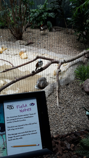 Zoo «Oceans of Fun», reviews and photos, 10001 W Bluemound Rd, Milwaukee, WI 53226, USA