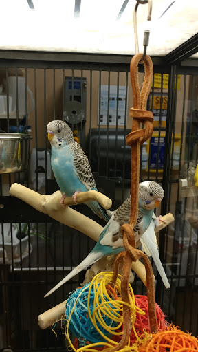 Pet Supply Store «PetSmart», reviews and photos, 3210 E Lynn Blvd, Sterling, IL 61081, USA