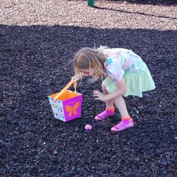 Preschool «Primrose School of Firewheel», reviews and photos, 5074 N President George Bush Hwy, Garland, TX 75040, USA