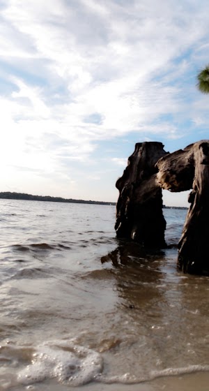 Mobbly Bayou Beach Park - photo 39