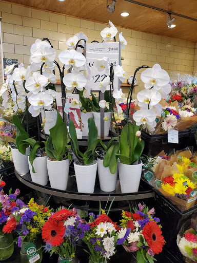 Grocery Store «Whole Foods Market», reviews and photos, 3802 Northdale Blvd, Greater Northdale, FL 33624, USA