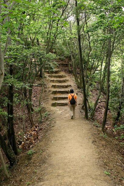 花緑公園 森林散策コース