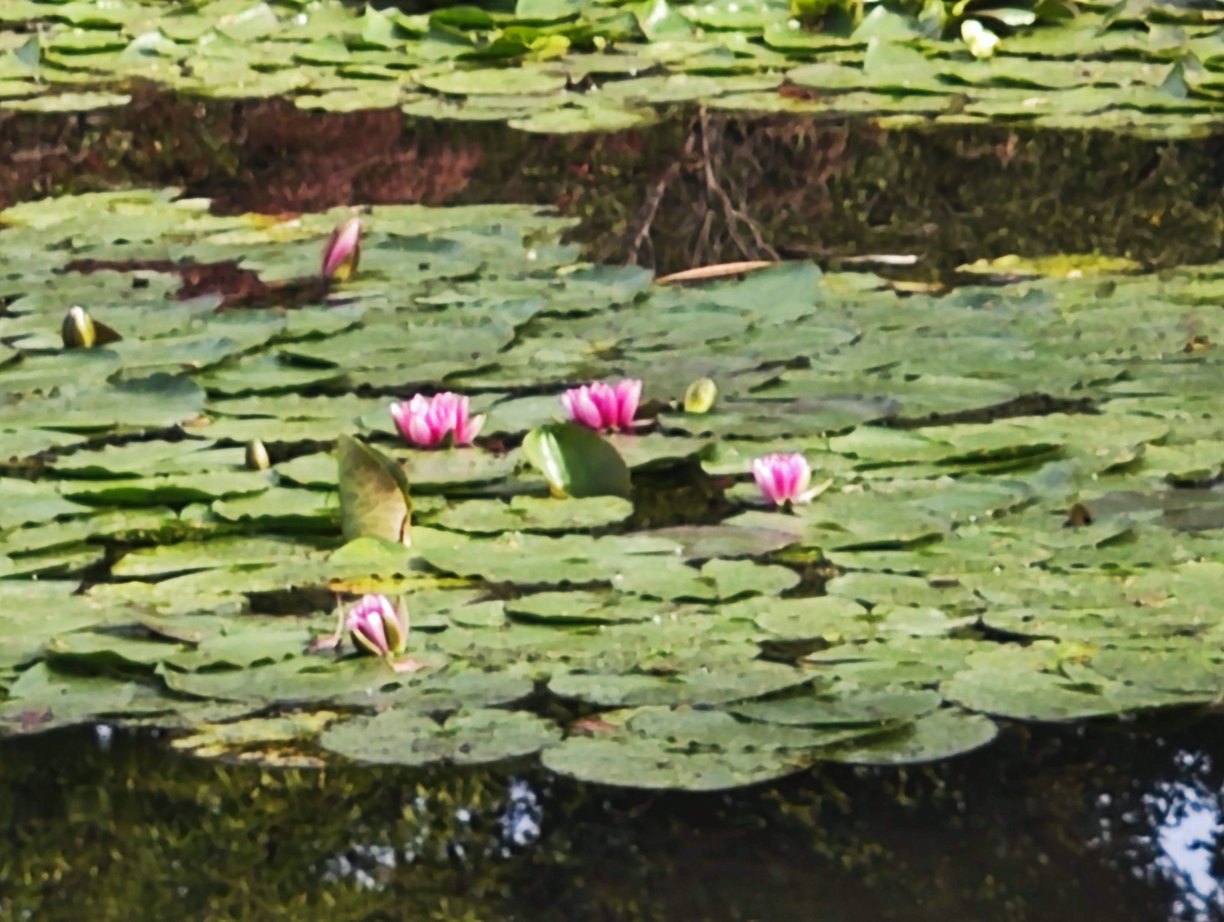 Photo n° 10 de l'avis de Philippe.u fait le 20/10/2023 à 11:49