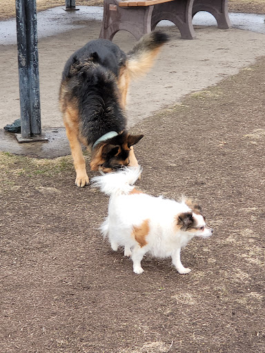 Dog Park «Dog Park», reviews and photos, 851 17th Ave SW, Altoona, IA 50009, USA