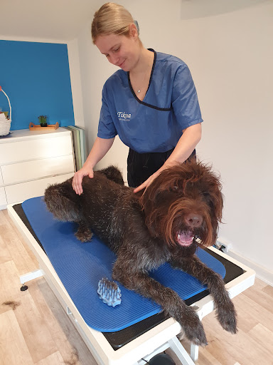 Mrshundesalon & Behandlingsklinik in Sonderso, Nordfyns
