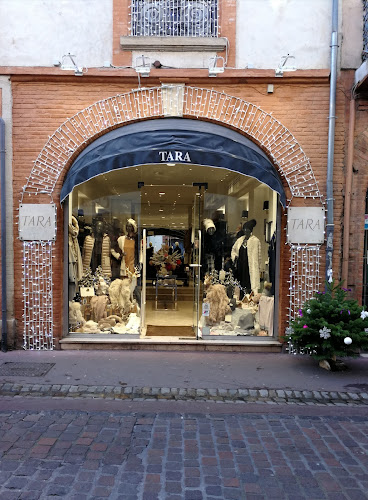 Tara à Toulouse