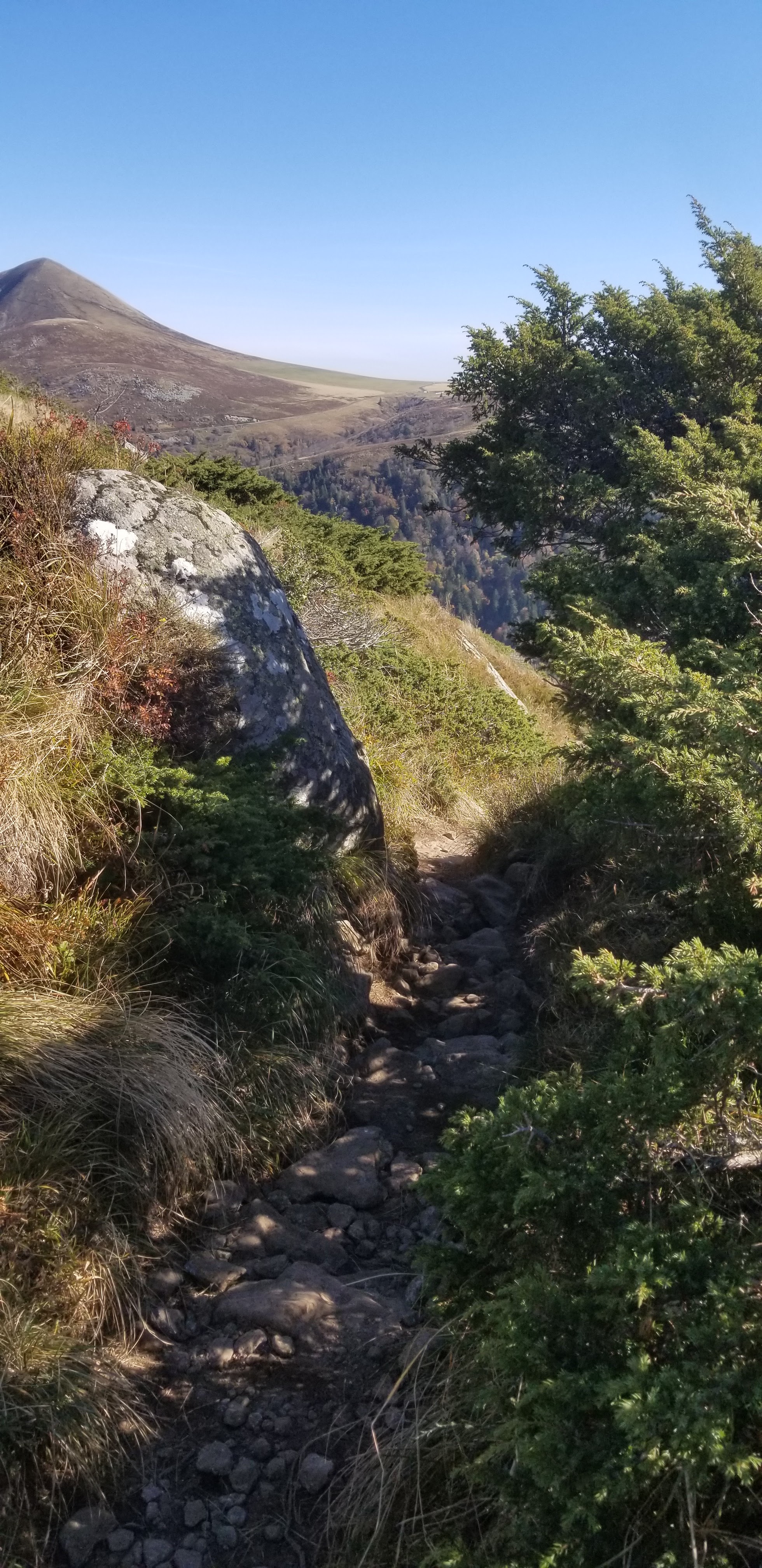 Photo n° 17 de l'avis de Céline.O fait le 28/10/2021 à 15:42