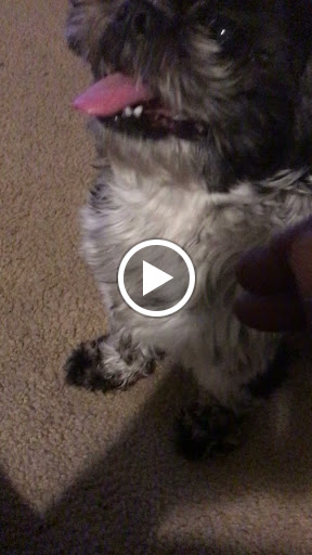 Dollar Store «FAMILY DOLLAR», reviews and photos, 153 Smallwood Village Center, Waldorf, MD 20602, USA