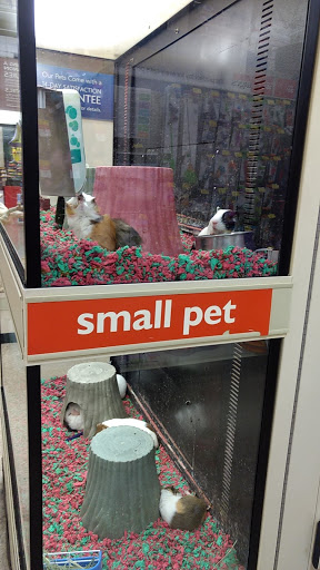Pet Supply Store «PetSmart», reviews and photos, 4056 Atlanta Hwy, Loganville, GA 30052, USA