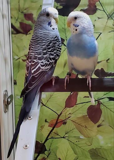 Pet Supply Store «PetSmart», reviews and photos, 111 Nassau Park Blvd, Princeton, NJ 08540, USA