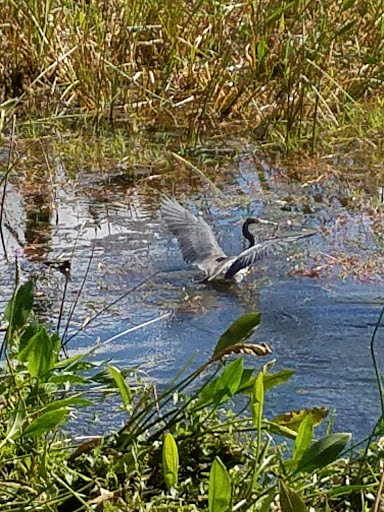 Insurance Agency «GEICO Corporate Office», reviews and photos