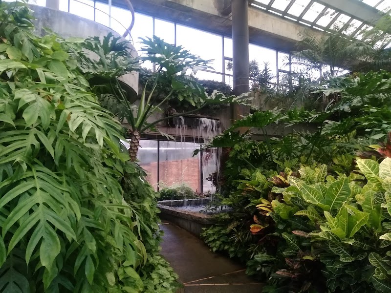 観賞温室 Nghiencuudinhluong Com