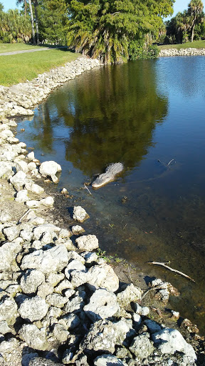 Golf Club «Manatee County Golf Course», reviews and photos, 6415 53rd Ave W, Bradenton, FL 34210, USA