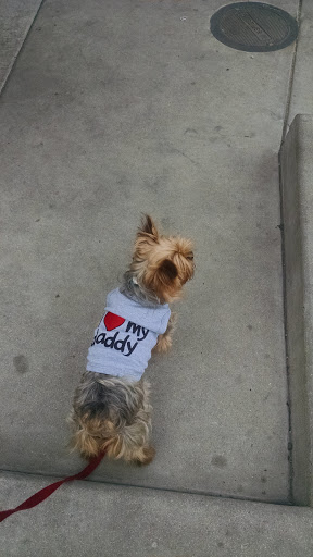 Pet Supply Store «Animal Kingdom Pet Shop», reviews and photos, 651 Dolliver St, Pismo Beach, CA 93449, USA