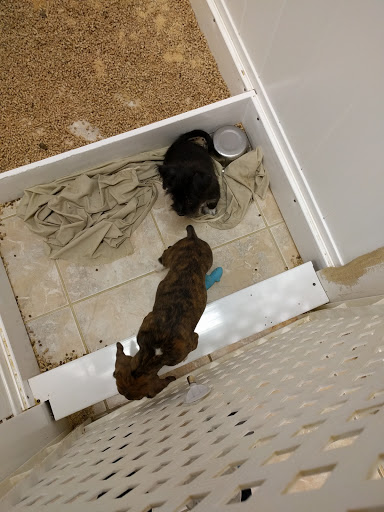 Pet Store «The Pet Shoppe», reviews and photos, 1284 NJ-35, Middletown, NJ 07748, USA