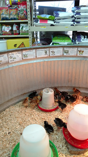 Pet Supply Store «D&L AgMart - McKinney», reviews and photos, 210 W University Dr d, McKinney, TX 75069, USA