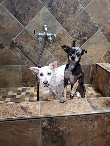 Pet Supply Store «Pet Valu», reviews and photos, 150 Main St, Lodi, NJ 07644, USA