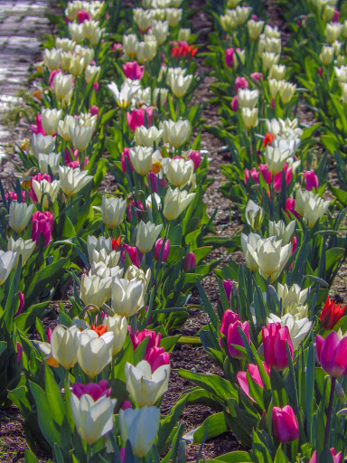 Gift Shop «Gate House Gift Shop», reviews and photos, Biltmore Estate Dr, Asheville, NC 28803, USA