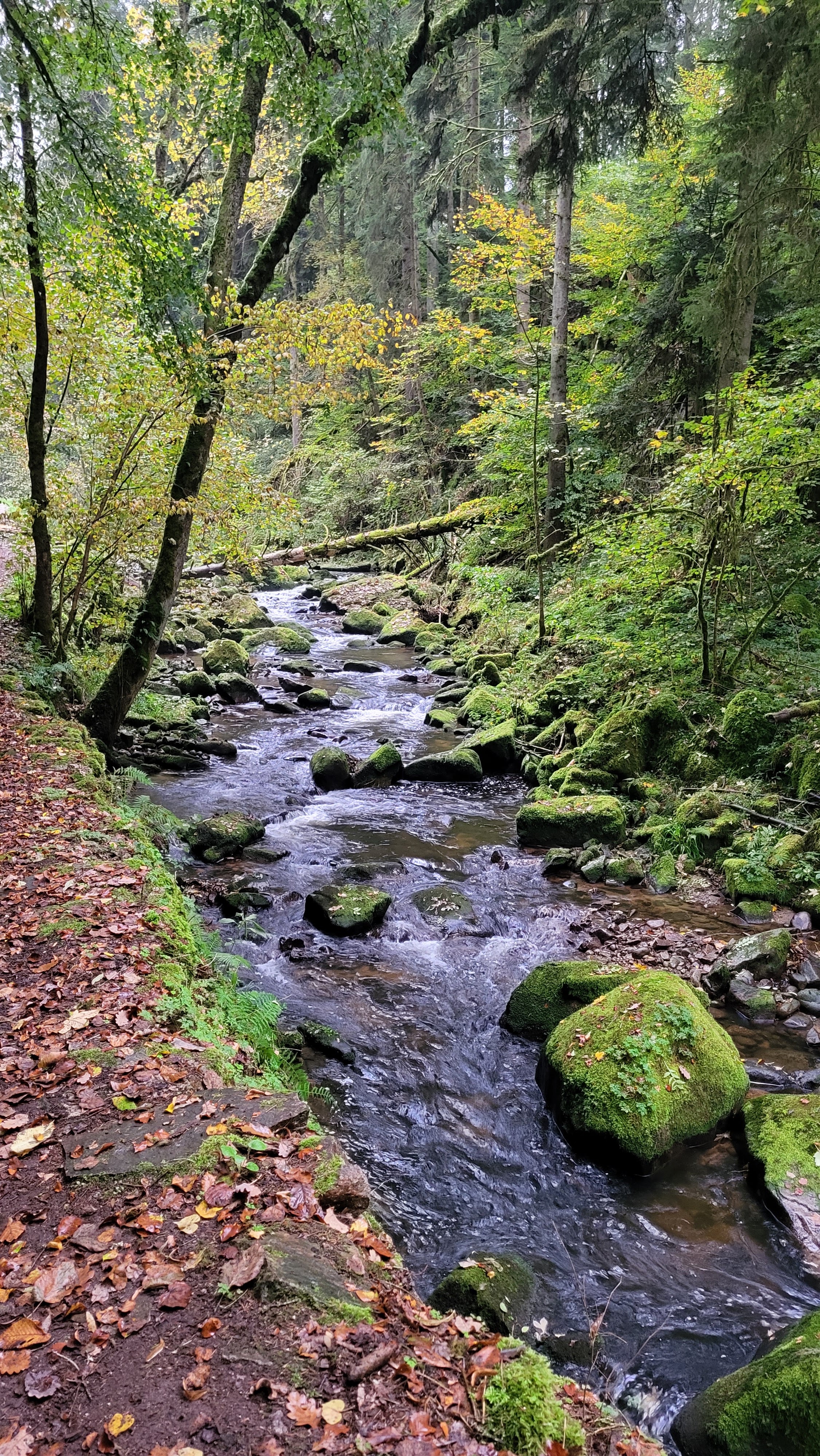 Photo n° 6 de l'avis de Jordan.a fait le 24/10/2023 à 21:40