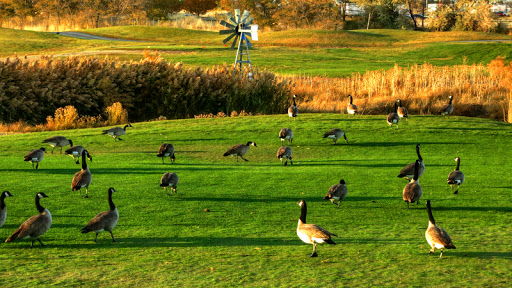 Golf Club «Stonebridge Golf Club», reviews and photos, 4415 Links Dr, West Valley City, UT 84120, USA