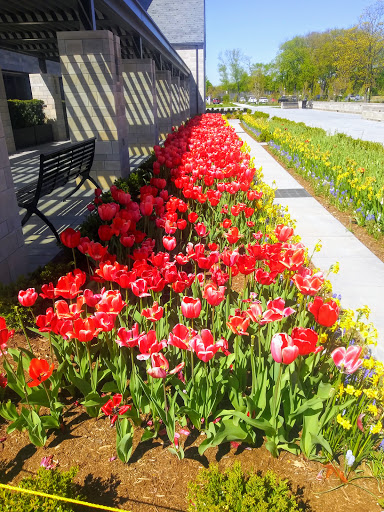 Park «Lake Front Park», reviews and photos, 23000 Jefferson Ave, St Clair Shores, MI 48080, USA