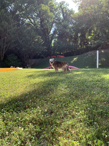 Pet Boarding Service «About Pets Center», reviews and photos, 1604 Conehurst Blvd, Salem, VA 24153, USA