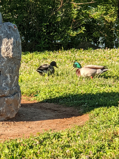 Picnic Ground «Gateway Island», reviews and photos, 1875 W College St, Murfreesboro, TN 37129, USA