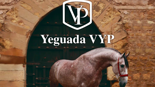 Yeguada VYP Mexico 🇲🇽