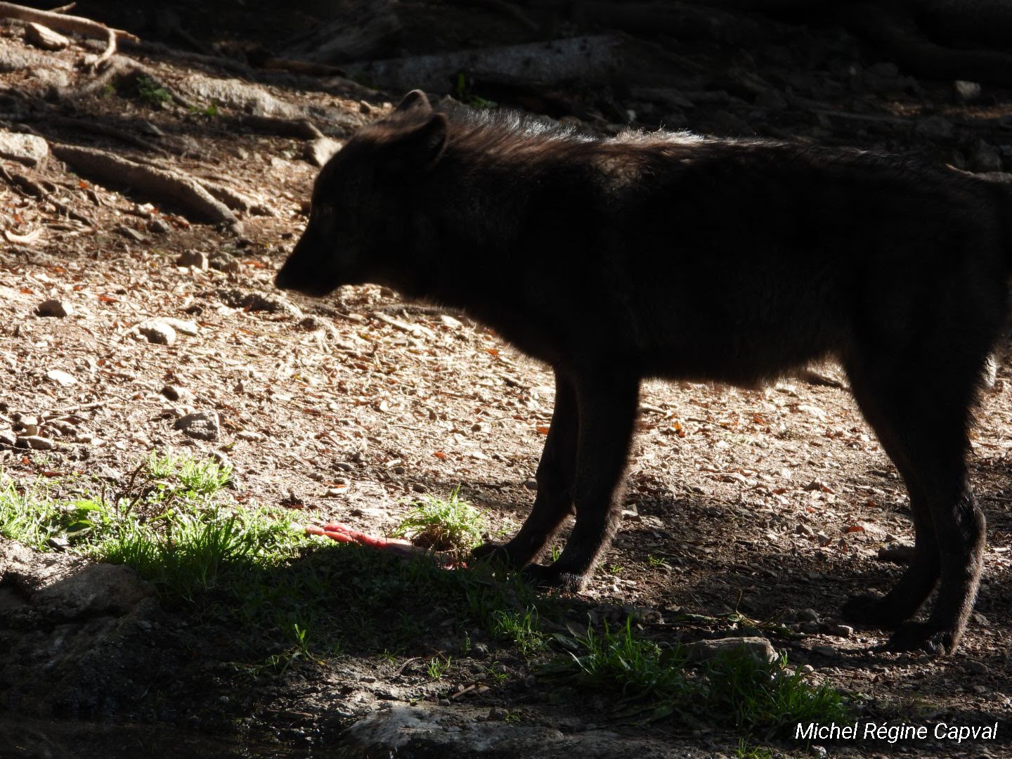 Photo n° 10 de l'avis de michel.a fait le 03/10/2019 à 13:25