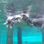 Photo n°7 de l'avis de Christiane.a fait le 22/04/2024 à 06:12 sur le  Spreewelten Hotel | Spreewelten Erlebnisbad à Lübbenau