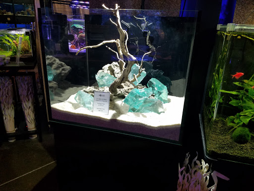 Tropical Fish Store «Picasso Exotic Aquatics», reviews and photos, 11560 Ash St, Leawood, KS 66211, USA
