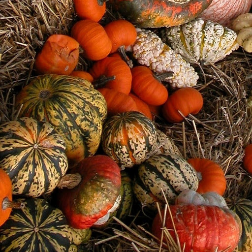 Supermarket «Cardenas Market», reviews and photos, 1645 W Holt Ave, Pomona, CA 91768, USA