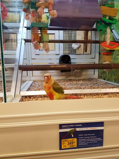 Shopping Mall «Gilroy Crossing Shopping Center», reviews and photos, 6915 Camino Arroyo, San Jose, CA 95112, USA