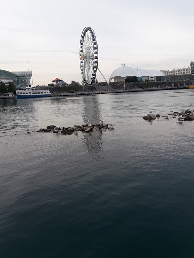 Amphitheater «Huntington Bank Pavilion at Northerly Island», reviews and photos, 1300 S Linn White Dr, Chicago, IL 60605, USA