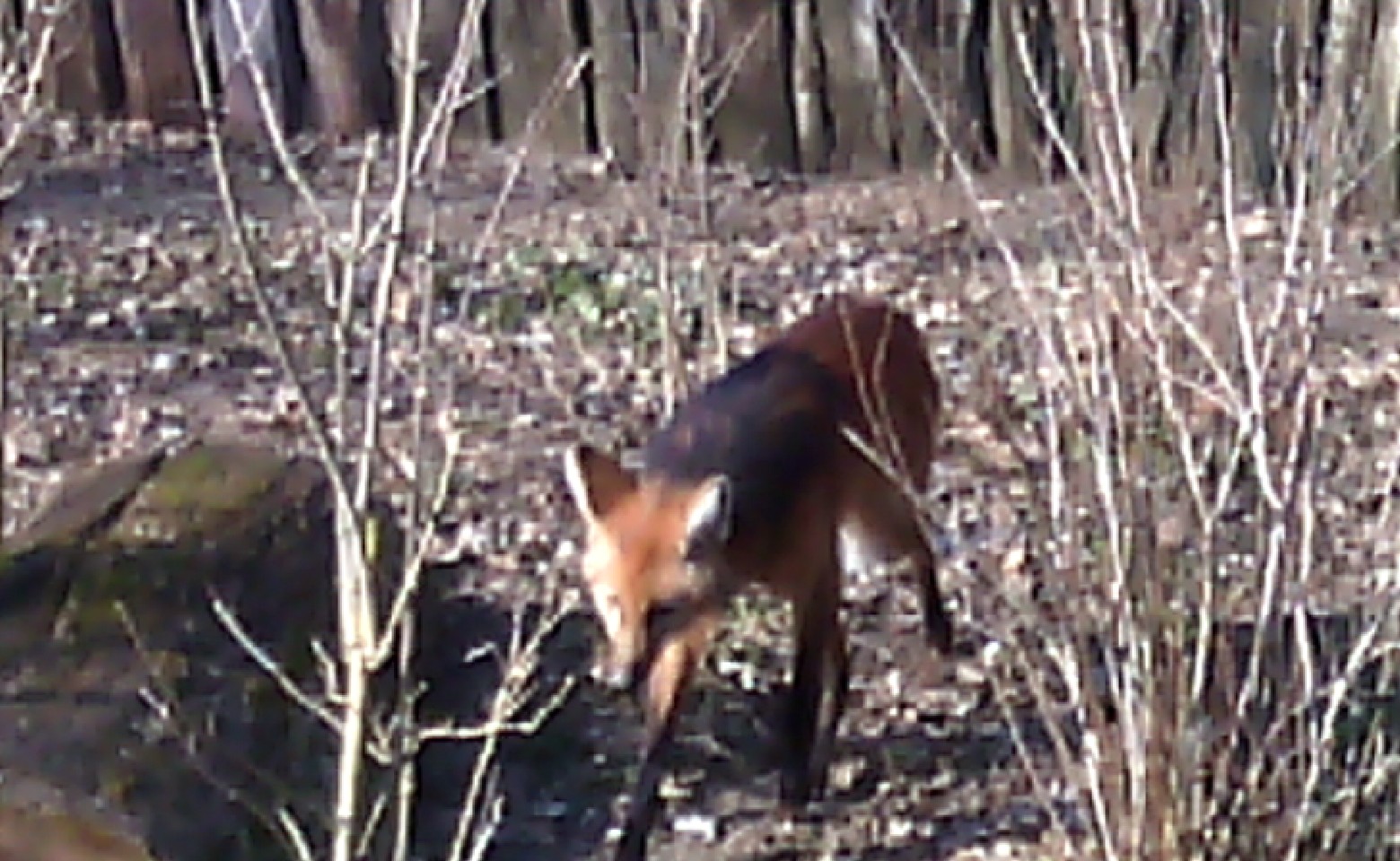 Photo n° 4 de l'avis de Eric.A fait le 02/03/2018 à 15:12