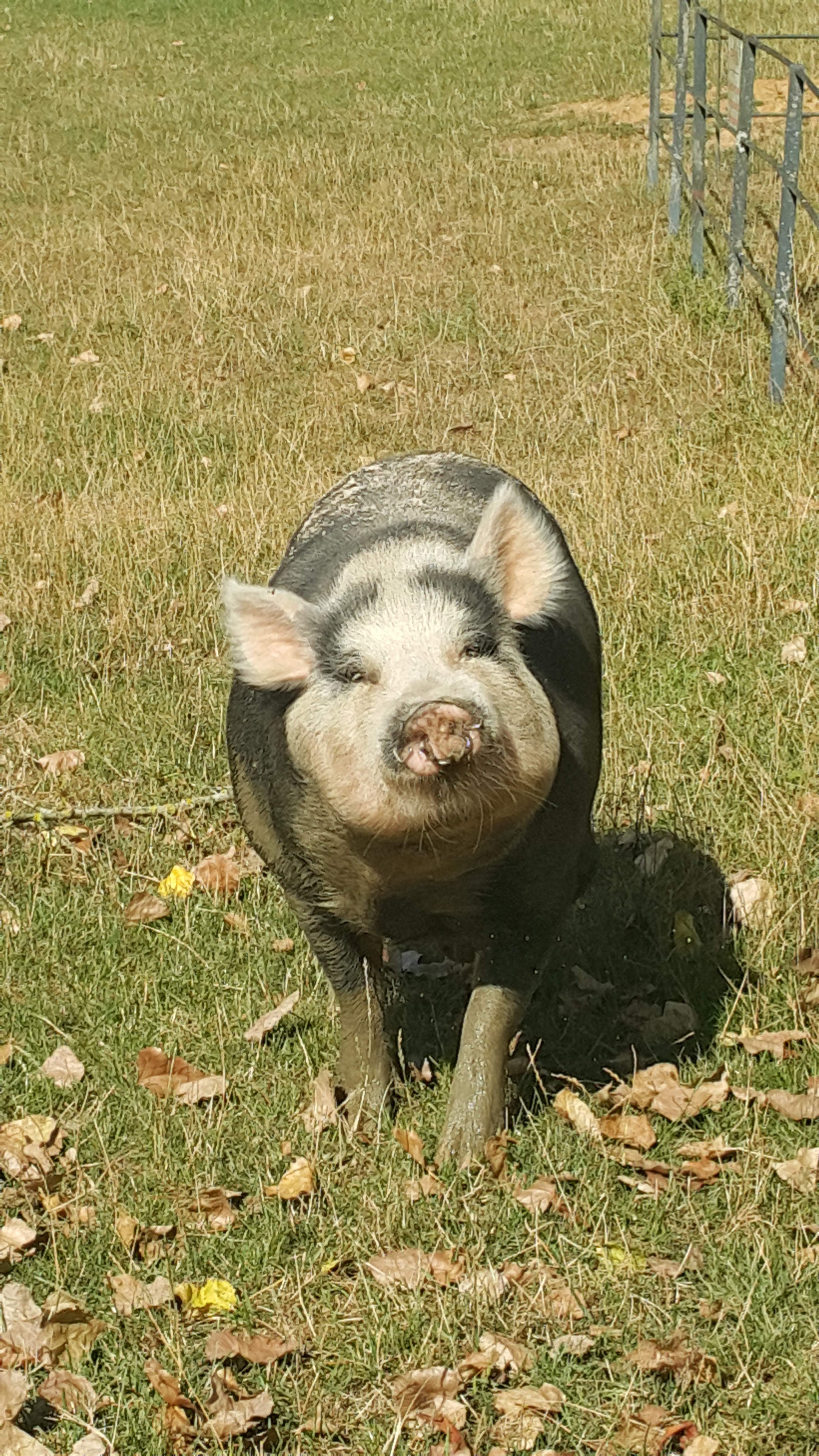 Photo n° 1 de l'avis de Severine.a fait le 11/08/2018 à 16:15