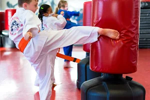 Safeguard Martial Arts and Kickboxing image