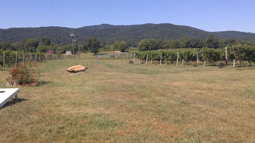 Winery «Philip Carter Winery», reviews and photos, 4366 Stillhouse Rd, Hume, VA 22639, USA