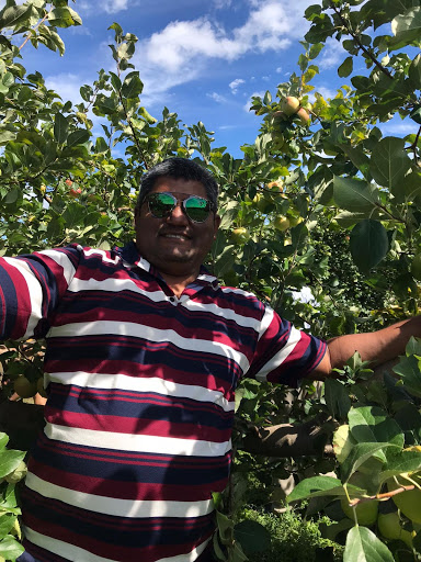 Winery «Lemon Creek Winery», reviews and photos, 533 E Lemon Creek Rd, Berrien Springs, MI 49103, USA