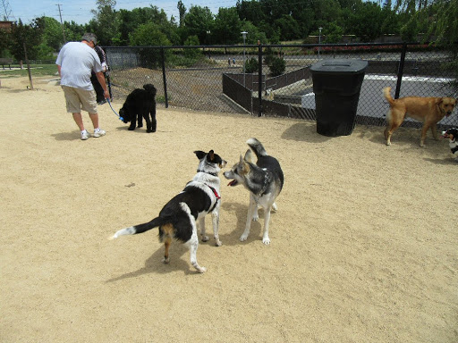 Dog Park «FIDO Field Dog Park», reviews and photos, 1775 Creekside Dr, Folsom, CA 95630, USA