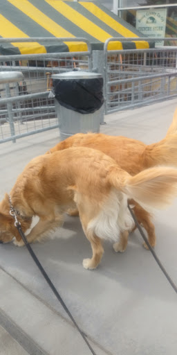 Pet Supply Store «Essex County Co-Op», reviews and photos, 146 S Main St, Topsfield, MA 01983, USA