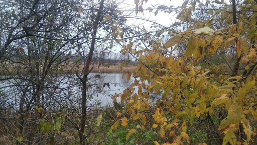 Nature Preserve «Lockport Prairie Nature Preserve», reviews and photos, Broadway St, Lockport, IL 60441, USA